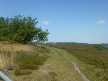 Hjerl Hede